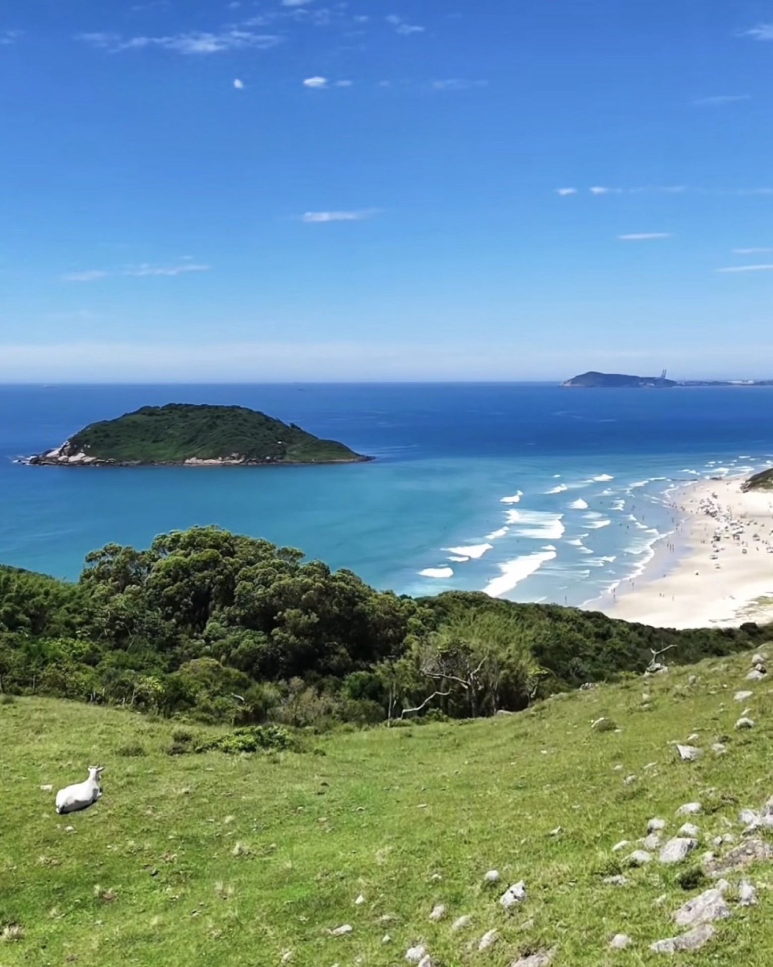 Lagoa, mar e natureza na região da Ponta da Piteira