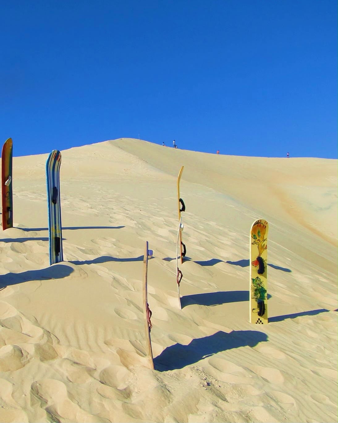 Pranchas de sandboard nas dunas