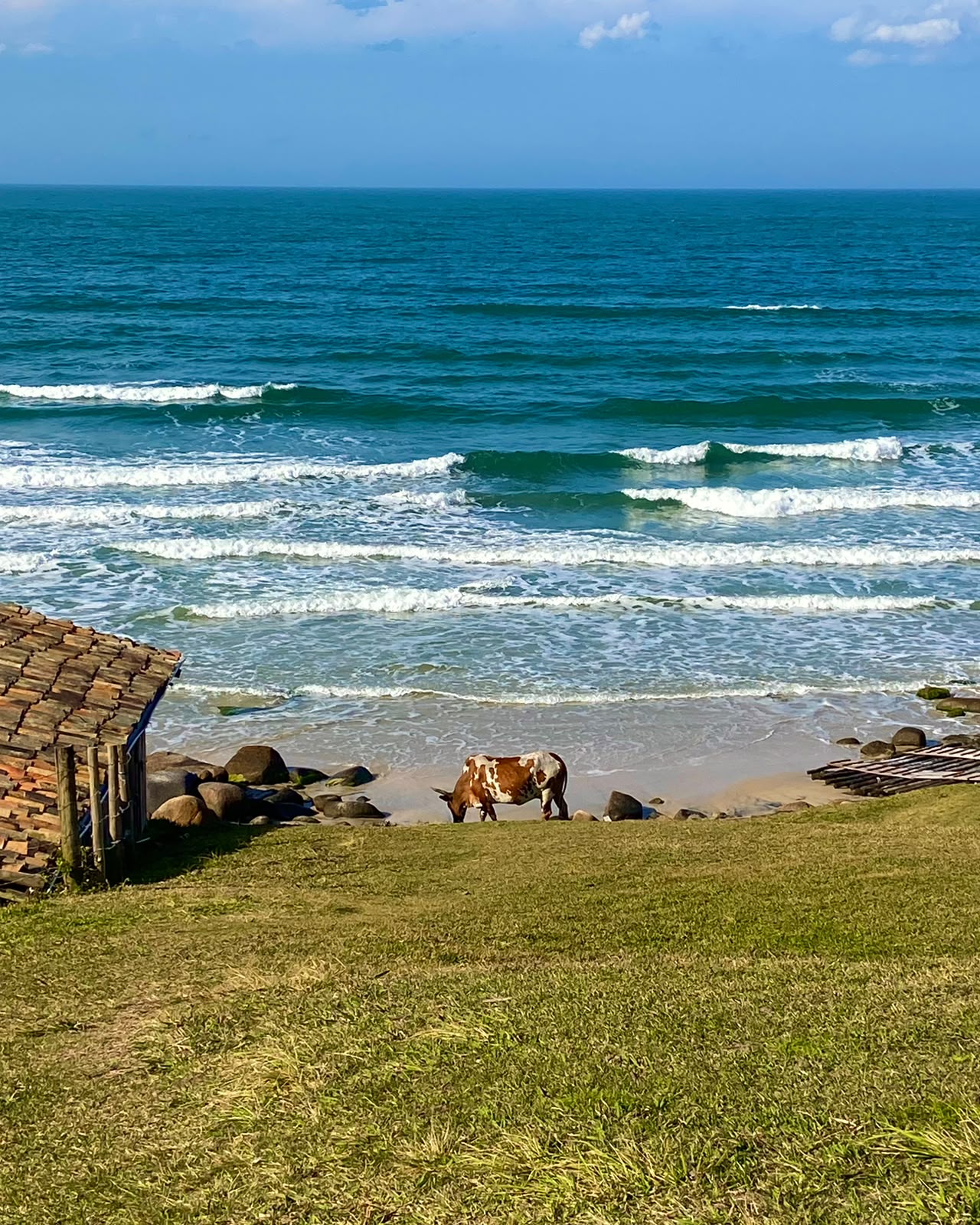 Praia com vista para o mar